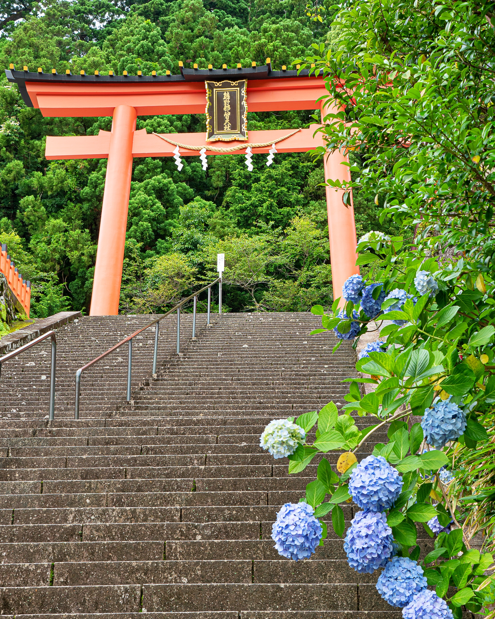 那智の田楽 文化遺産オンライン