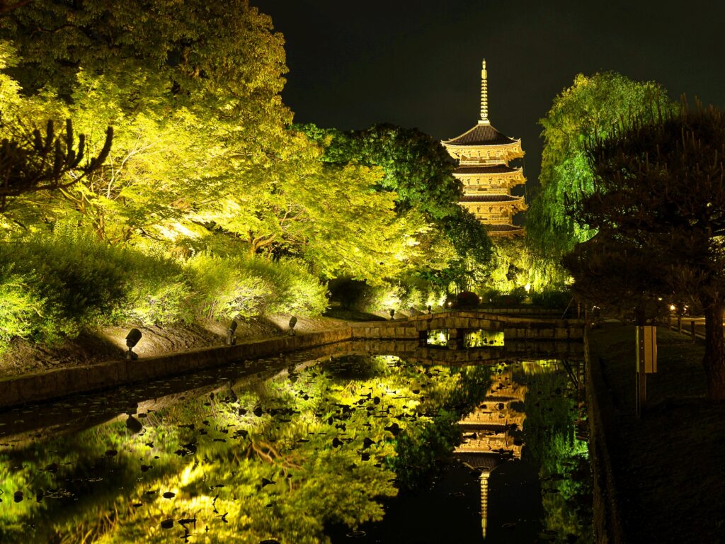 東寺　青もみじライトアップ　五重塔　リフレクション