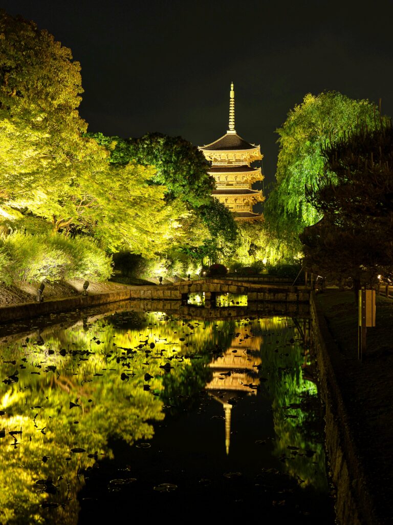 東寺　青もみじライトアップ　五重塔　リフレクション