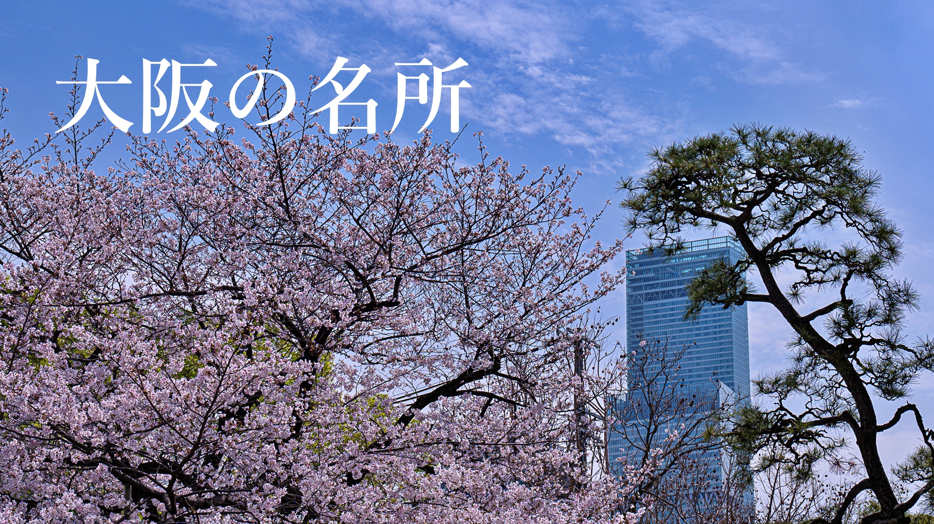 大阪の名所